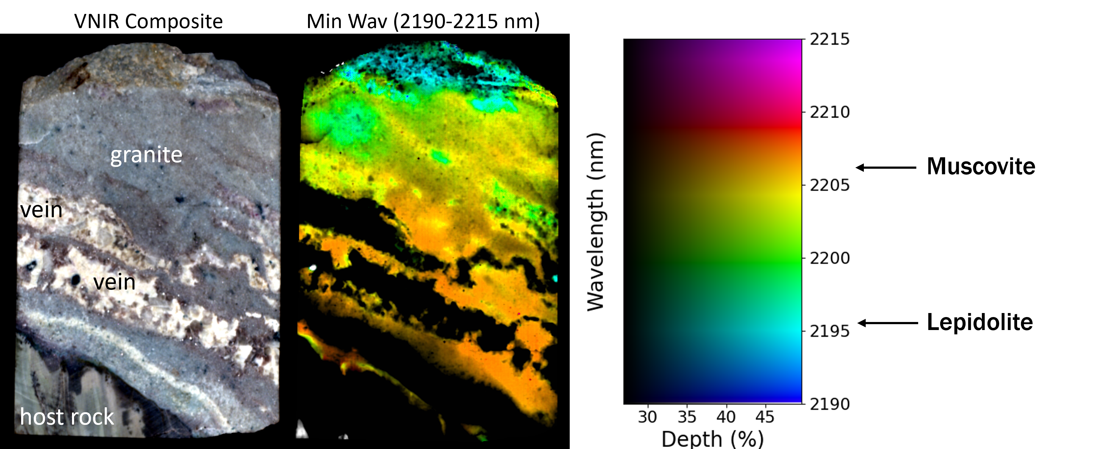 Minimum Wavelength Map of a lithium-bearing granite core sample showing the spatial distribution of the deepest absorption feature around 2200 nm. The image is color-coded to represent wavelength position, with blue indicating shorter wavelengths and purple for longer wavelengths. The brightness indicates absorption depth, with dark pixels showing absence of white mica minerals and lighter pixels representing areas where they are present. The map shows a transition from muscovite at the margins of the granite to lepidolite in the core.