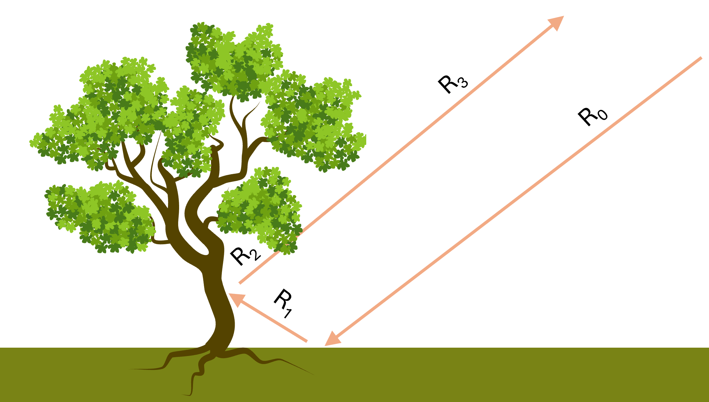 More realistic surface condition of vegetated earth surface. In this case each light ray hit multiple object before reflected out to the sensor. This complex interaction between light and multiple object casuing the mixture to be defiated from the linear model.