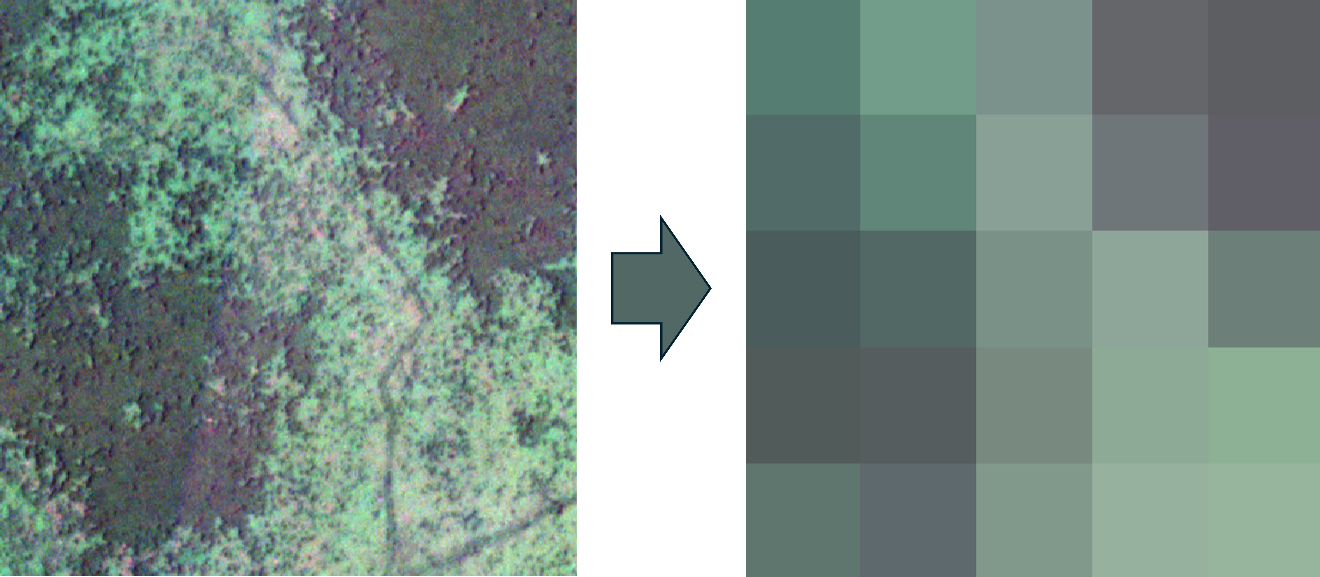 Satelite Imagery from Planet that shows a patch of forest and grassland. it is downsampled to show the whole area as 5x5 pixel for simplicity in the data representation example