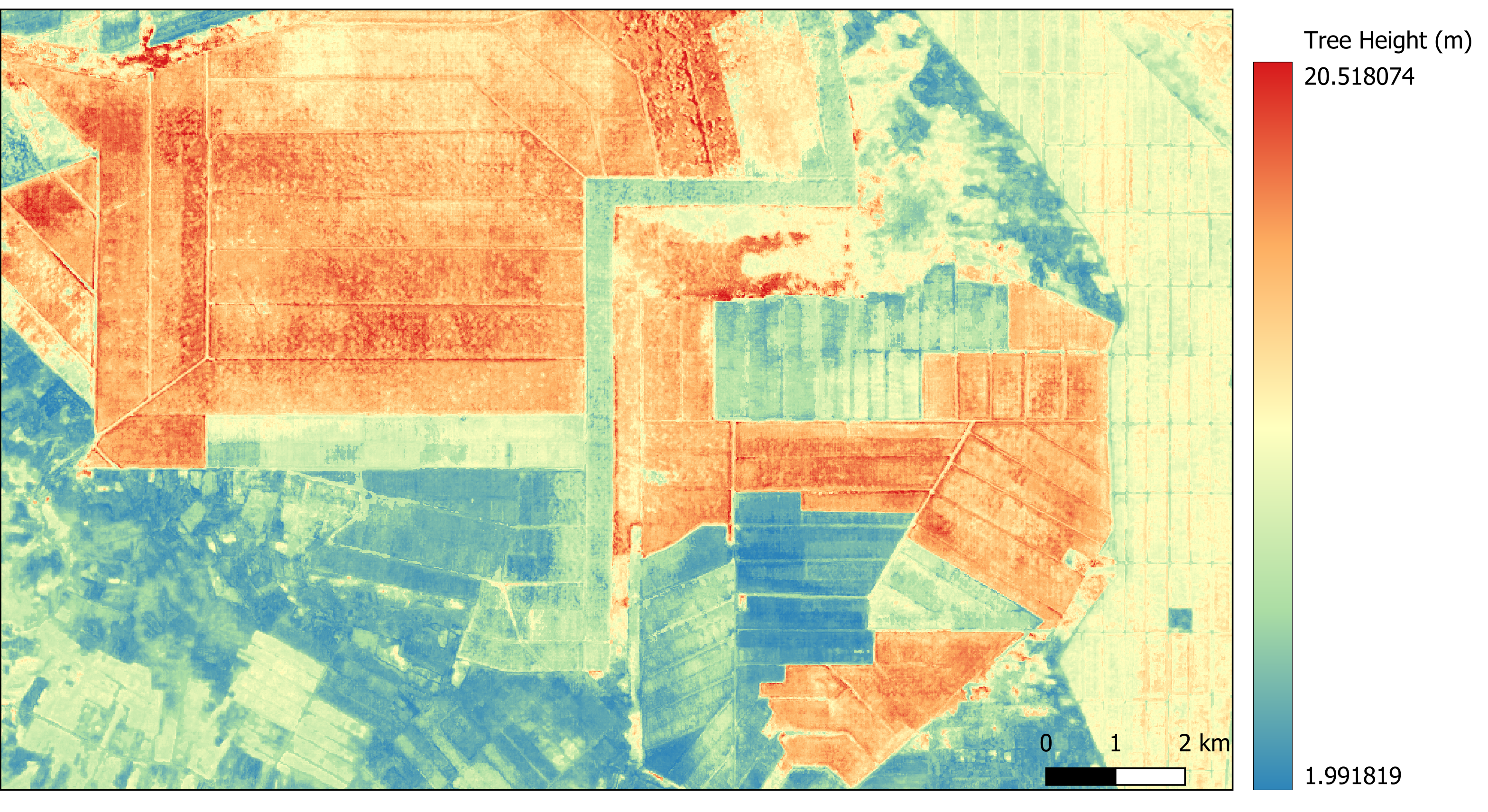 Resulting tree height model in the study area